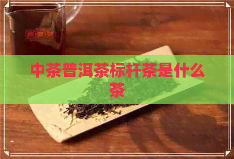 中茶普洱茶标杆茶是什么茶