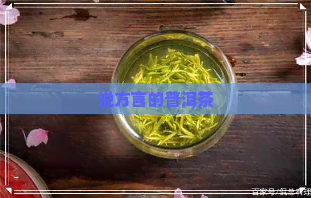 说方言的普洱茶