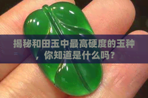 揭秘和田玉中更高硬度的玉种，你知道是什么吗？