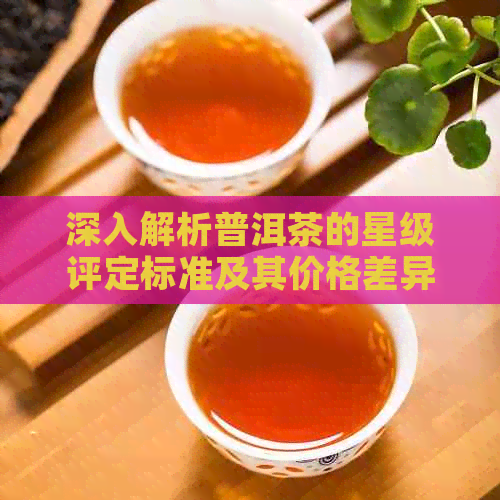 深入解析普洱茶的星级评定标准及其价格差异，助你轻松辨别哪个更好