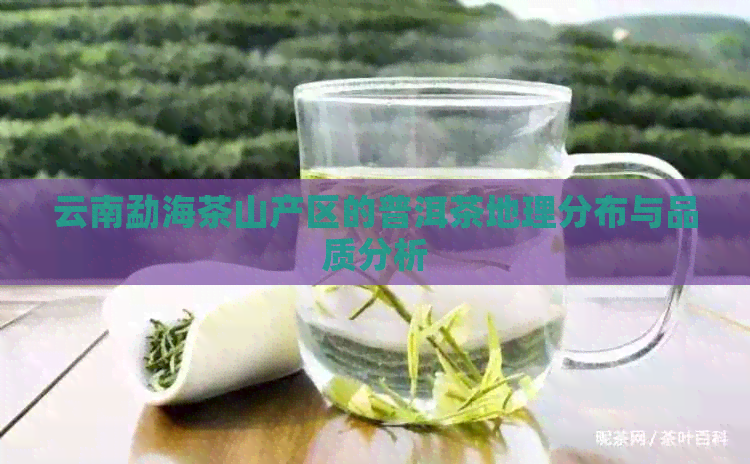 云南勐海茶山产区的普洱茶地理分布与品质分析