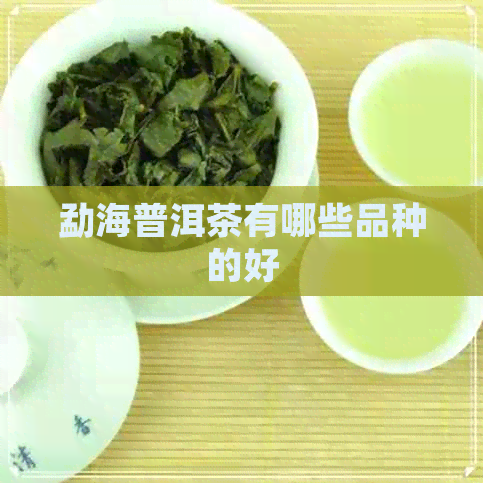 勐海普洱茶有哪些品种的好