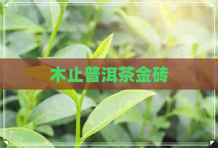 木止普洱茶金砖