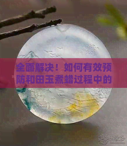 全面解决！如何有效预防和田玉煮蜡过程中的霉菌滋生与防治方法大解析