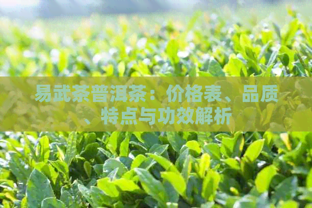 易武茶普洱茶：价格表、品质、特点与功效解析