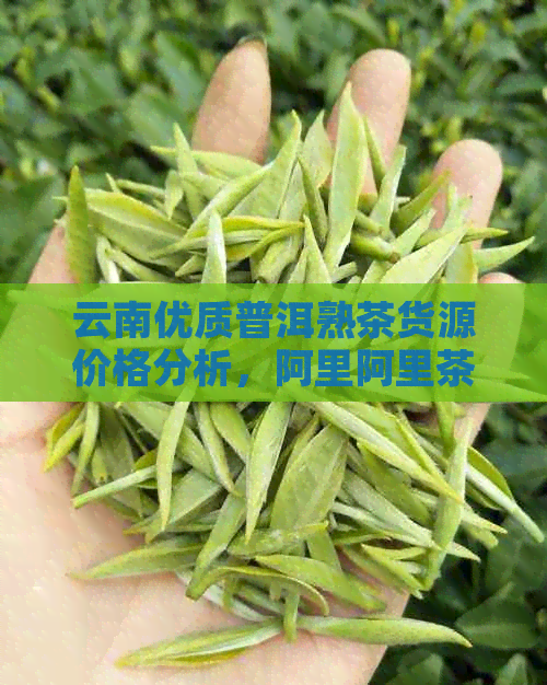 云南优质普洱熟茶货源价格分析，阿里阿里茶厂多少钱一饼？