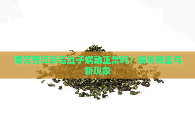 喝完普洱茶后肚子蠕动正常吗？解析原因与新现象