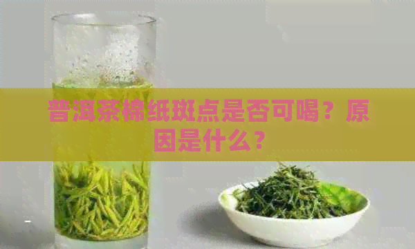 普洱茶棉纸斑点是否可喝？原因是什么？