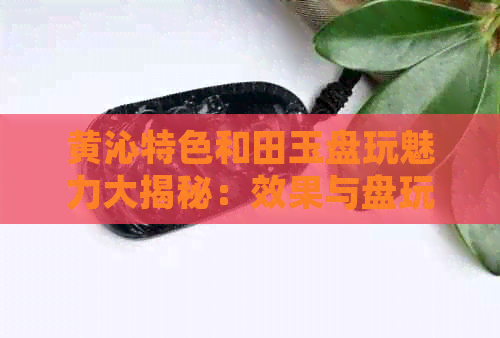 黄沁特色和田玉盘玩魅力大揭秘：效果与盘玩的完美融合