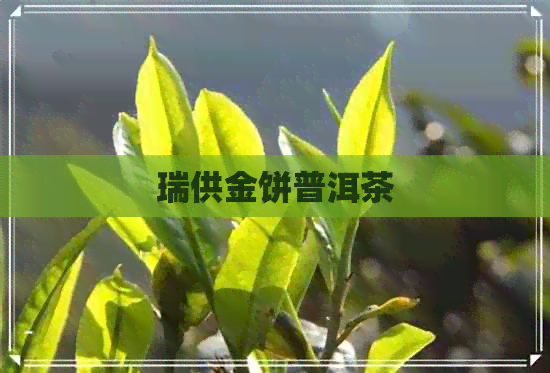 瑞供金饼普洱茶