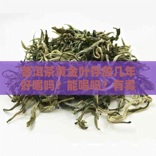 普洱茶黄金叶存放几年好喝吗？能喝吗？有吗？适合长期存放吗？