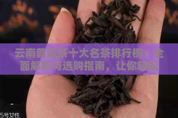 云南普洱茶十大名茶排行榜：全面解析与选购指南，让你轻松找到最适合的茶叶