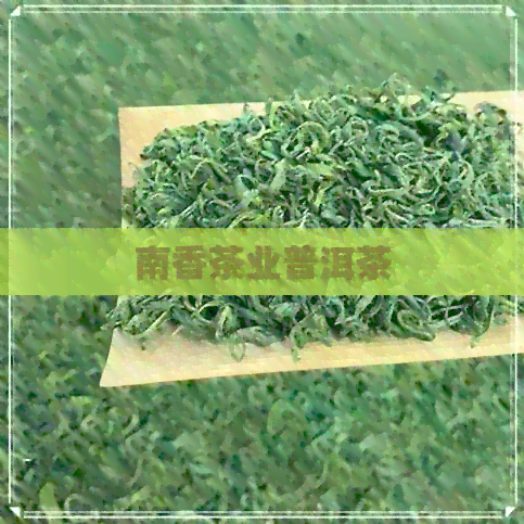 南香茶业普洱茶