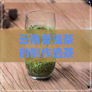 云南普洱茶的制作选茶过程