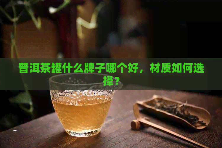 普洱茶罐什么牌子哪个好，材质如何选择？