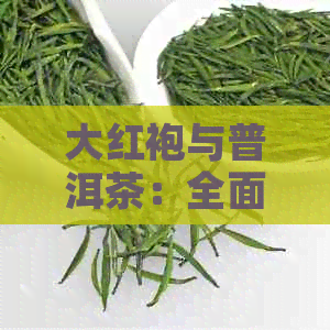 大红袍与普洱茶：全面解析功效、作用与适用人群，解答您的健疑虑