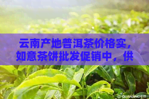 云南产地普洱茶价格实，如意茶饼批发促销中，供应商直供