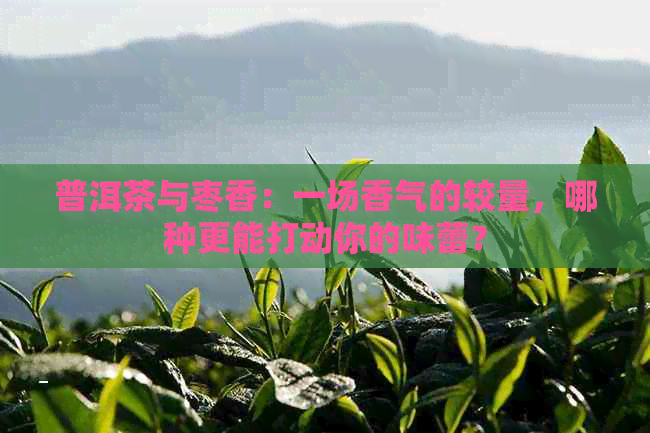 普洱茶与枣香：一场香气的较量，哪种更能打动你的味蕾？