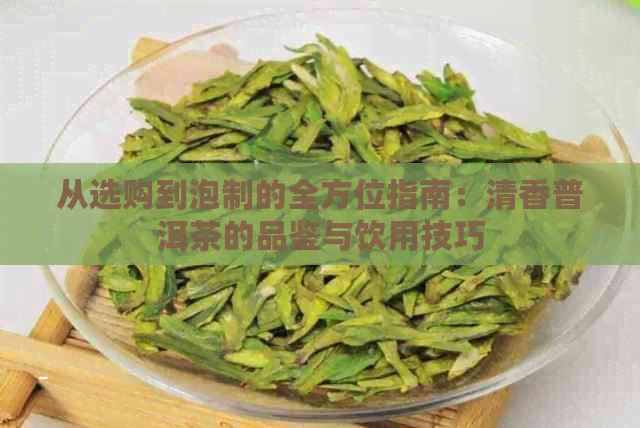 从选购到泡制的全方位指南：清香普洱茶的品鉴与饮用技巧