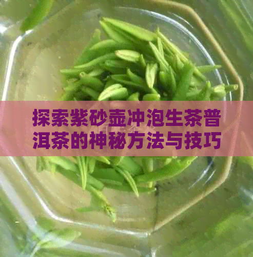 探索紫砂壶冲泡生茶普洱茶的神秘方法与技巧