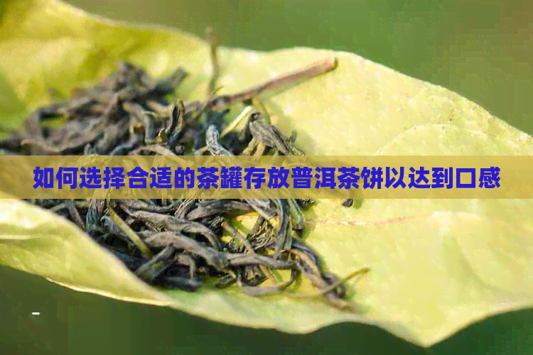 如何选择合适的茶罐存放普洱茶饼以达到口感