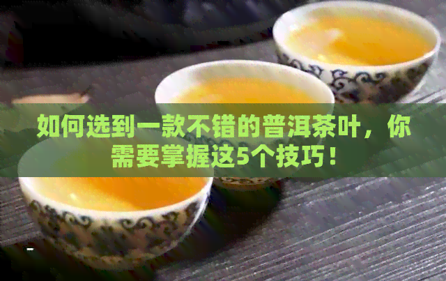 如何选到一款不错的普洱茶叶，你需要掌握这5个技巧！