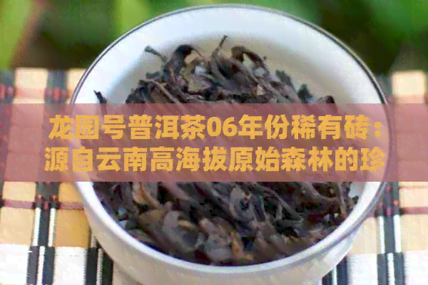 龙园号普洱茶06年份稀有砖：源自云南高海拔原始森林的珍藏之选