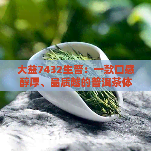 大益7432生普：一款口感醇厚、品质越的普洱茶体验