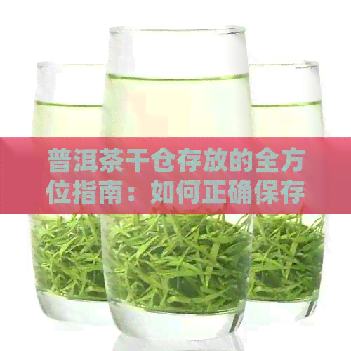 普洱茶干仓存放的全方位指南：如何正确保存普洱茶以保持其品质和风味