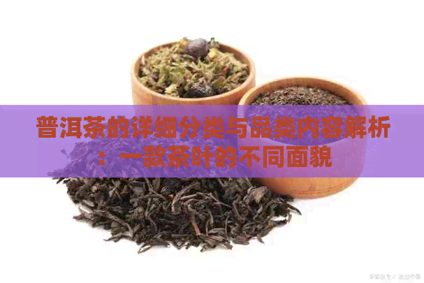 普洱茶的详细分类与品类内容解析：一款茶叶的不同面貌