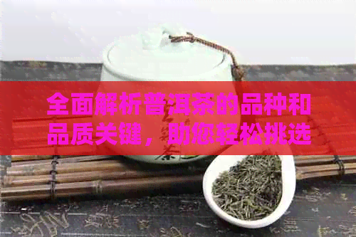 全面解析普洱茶的品种和品质关键，助您轻松挑选优质普洱