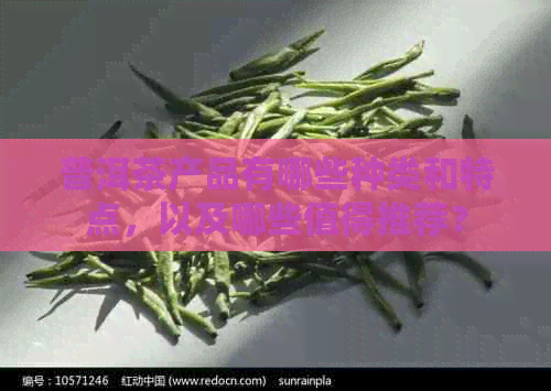 普洱茶产品有哪些种类和特点，以及哪些值得推荐？