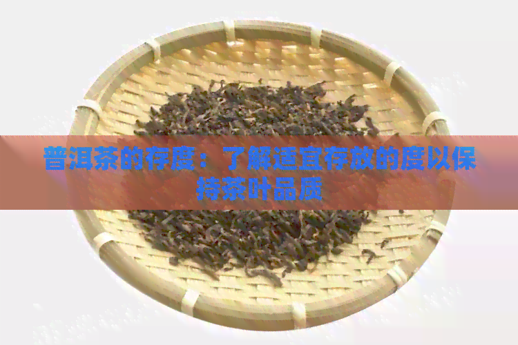 普洱茶的存度：了解适宜存放的度以保持茶叶品质