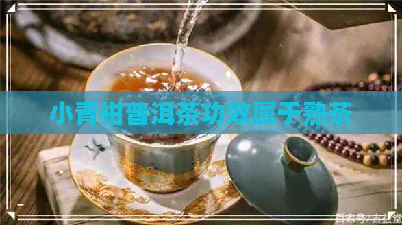 小青柑普洱茶功效属于熟茶