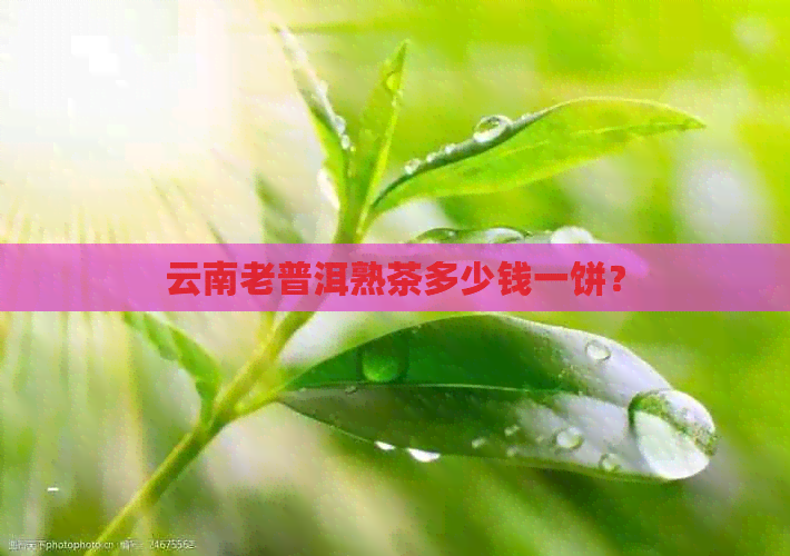 云南老普洱熟茶多少钱一饼？