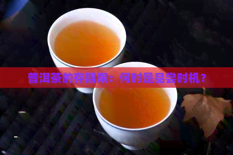 普洱茶的存期限：何时是品尝时机？