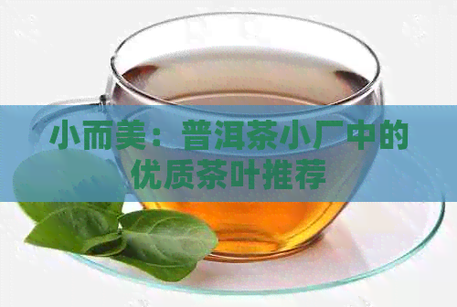 小而美：普洱茶小厂中的优质茶叶推荐