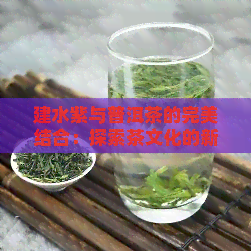 建水紫与普洱茶的完美结合：探索茶文化的新方向