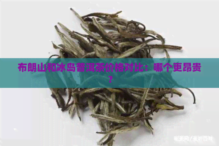 布朗山和冰岛普洱茶价格对比：哪个更昂贵？