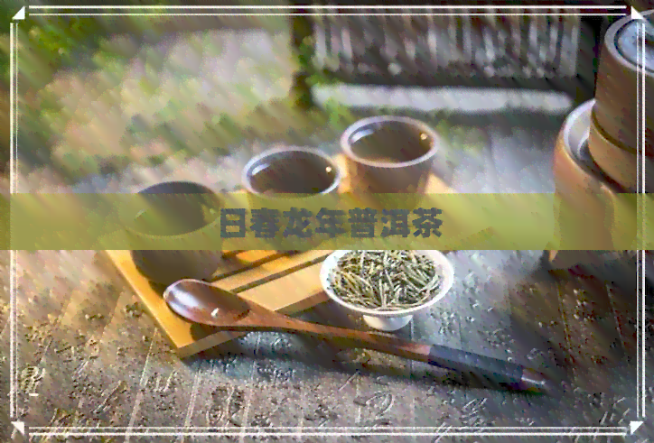 日春龙年普洱茶