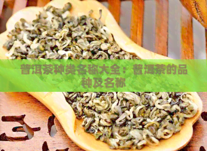 普洱茶种类名称大全：普洱茶的品种及名称