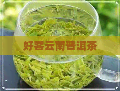 好客云南普洱茶