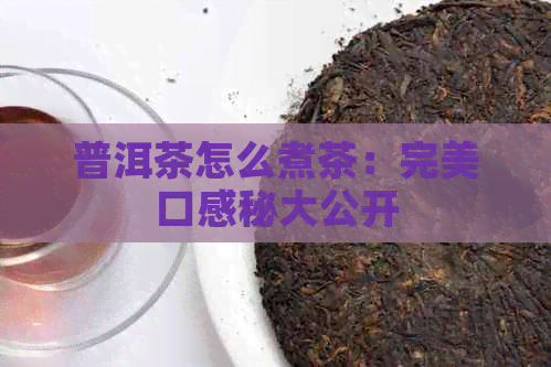 普洱茶怎么煮茶：完美口感秘大公开