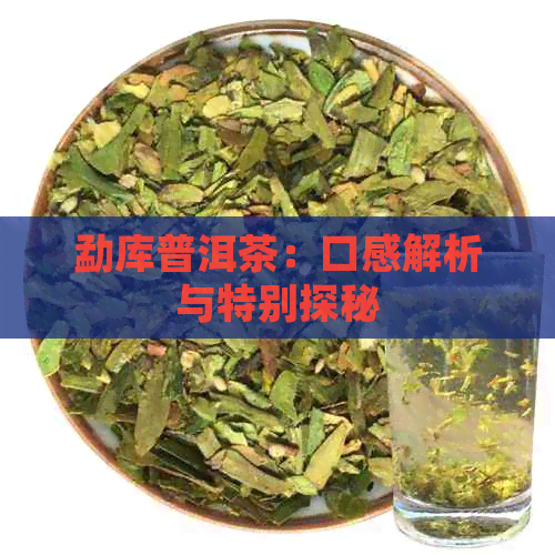 勐库普洱茶：口感解析与特别探秘