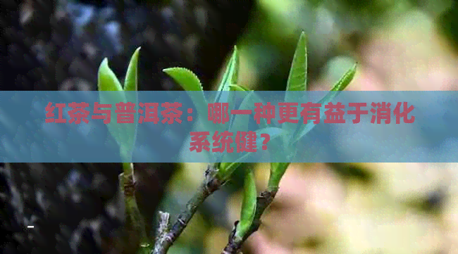 红茶与普洱茶：哪一种更有益于消化系统健？