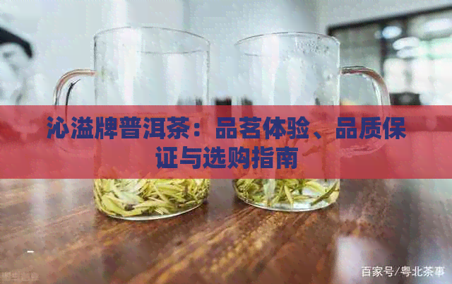 沁溢牌普洱茶：品茗体验、品质保证与选购指南