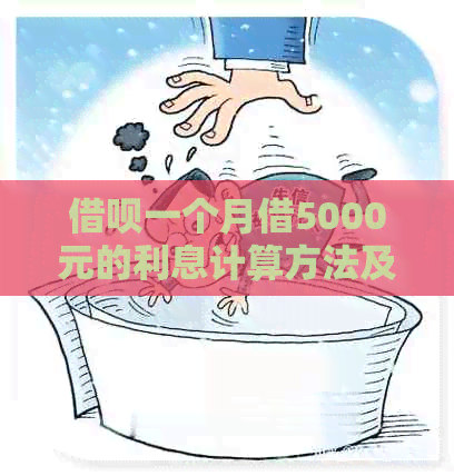 借呗一个月借5000元的利息计算方法及详细说明，帮助您了解借款成本