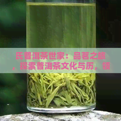 氏普洱茶世家：品茗之旅，探索普洱茶文化与历，领略优质茶品的魅力