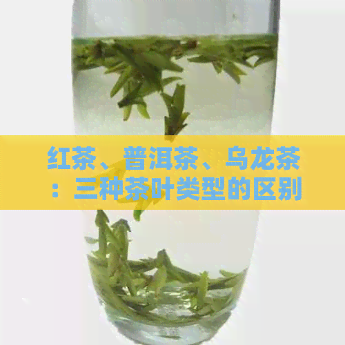 红茶、普洱茶、乌龙茶：三种茶叶类型的区别详解