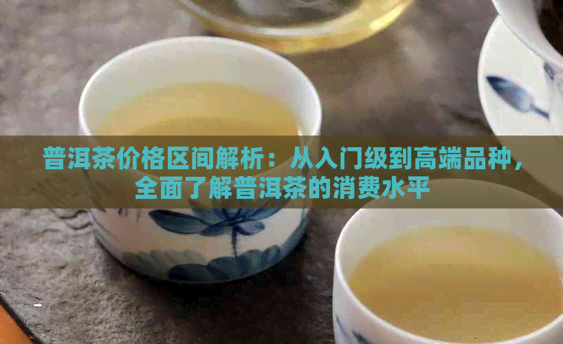 普洱茶价格区间解析：从入门级到高端品种，全面了解普洱茶的消费水平